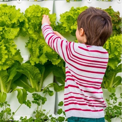 Minigarden Kitchen Black ECO