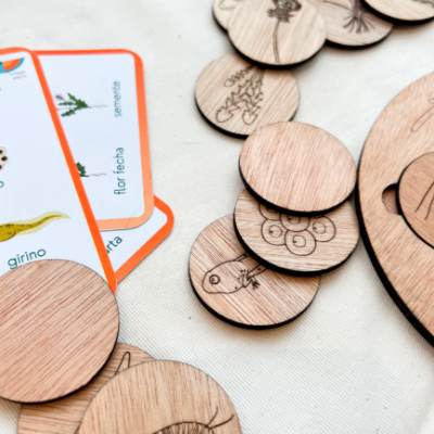 Ciclos de Vida - Puzzle