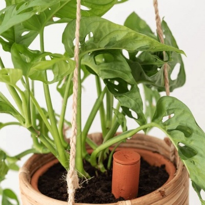 Tubo Barro para Rega