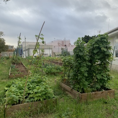 Instalação de Hortas