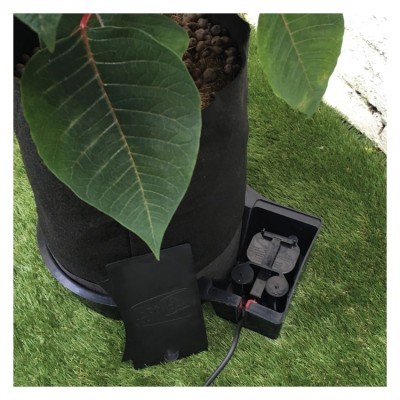 SmartPot Kit Autopot - 2 ou mais SmartPot Kit Autopot - 2 ou mais