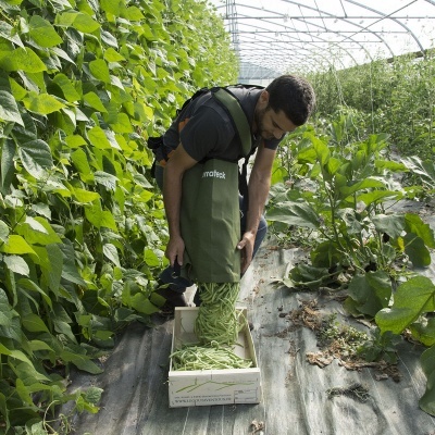 Saco de colheita lateral