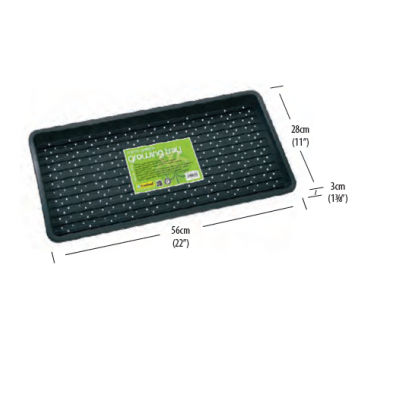 Tabuleiro Germinação Microvegetais