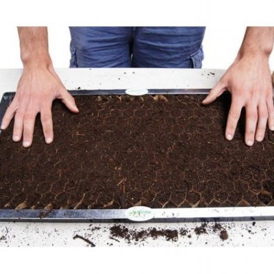 Moldura de espalhamento