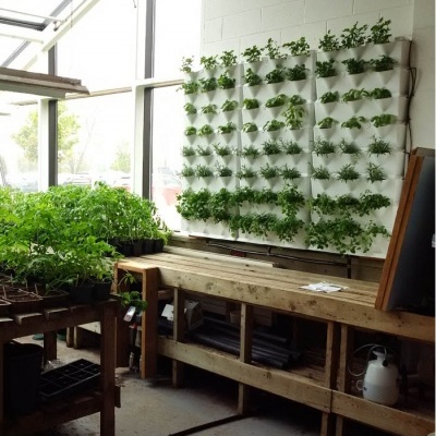 Minigarden Kitchen Black ECO