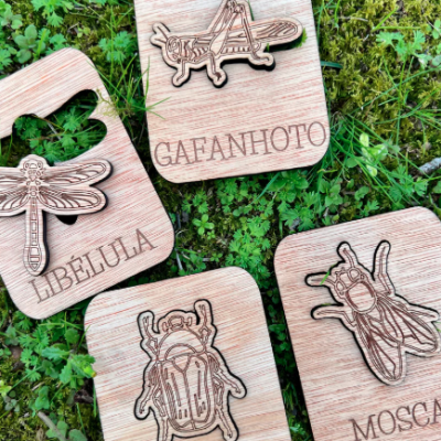 Conheces este Inseto? Puzzle