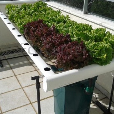 Pequenos Sistemas Personalizados