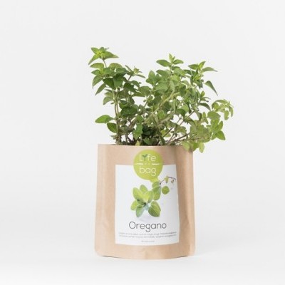 Grow Bag Oregãos