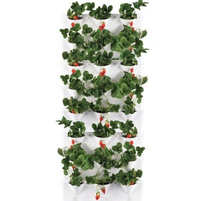 Minigarden Kitchen Black ECO