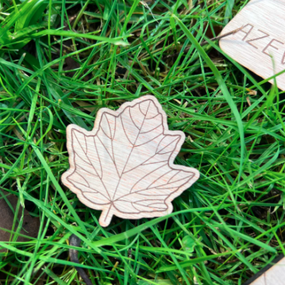 Conheces esta folha Autóctone? Puzzle