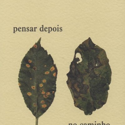 Pensar depois    no caminho, Alberto Pimenta