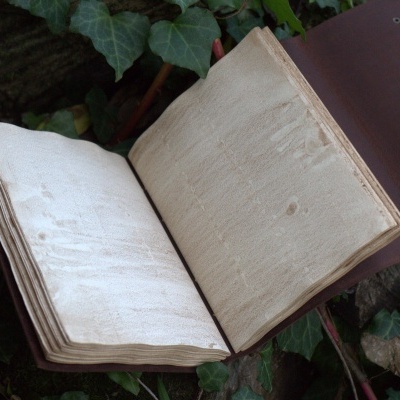 Livro aberto com páginas em branco e capa de couro castanha