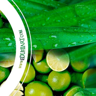 Lima Citronela Limão 2021