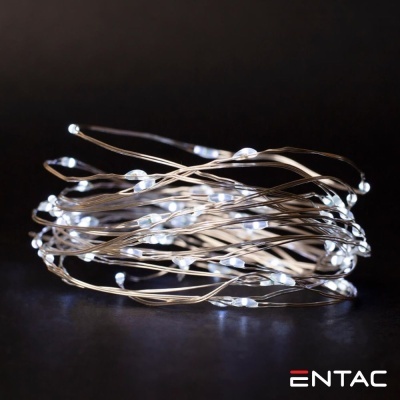 Grinalda de 20 LEDs Branco Frio 1M ENTAC