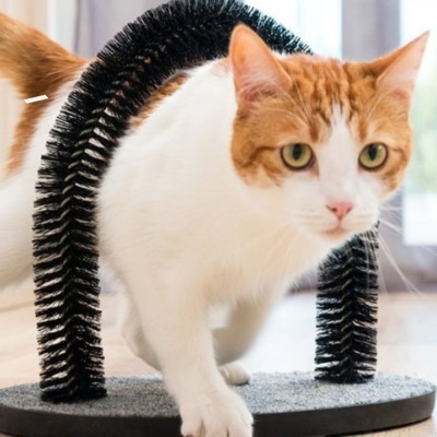 RASPADOR P GATOS E ARCO MASSAJADOR C CERDAS NYLON