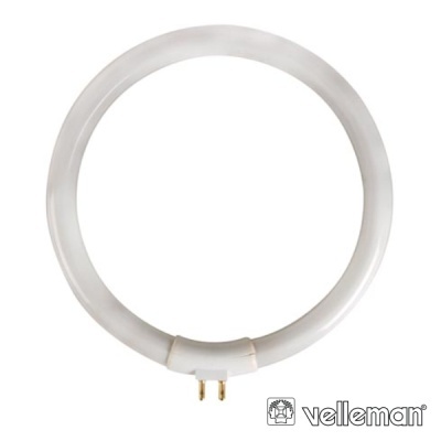 LÂMPADA CIRCULAR T4 11W 230V P VTLAMP8 VELLEMAN