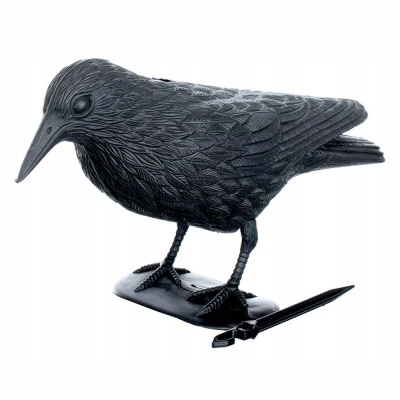 Corvo Espanta Pássaros 40x20cm