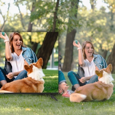 Televisor a mostrar mulher e cão Corgi na relva num parque