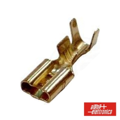 Conector rápido metálico dourado para cabos em fundo branco.