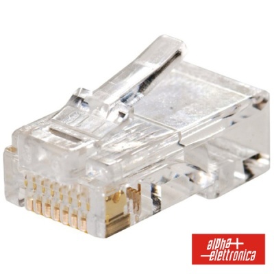 Conector de rede RJ45 transparente com contactos dourados e logótipo alpha elettronica