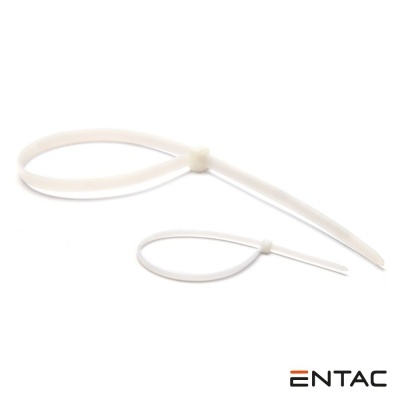 Conjunto 50 Braçadeiras Nylon 2.5x100mm Branco ENTAC