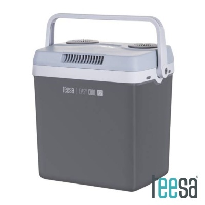 Geleira Elétrica 32L AC-DC TEESA
