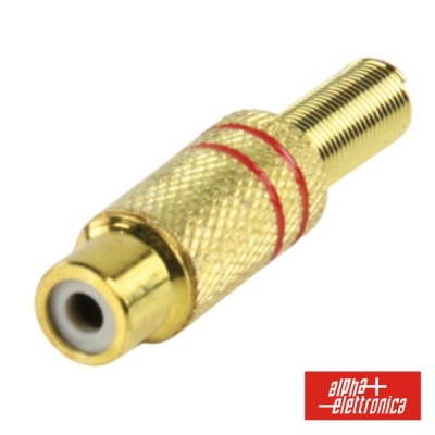 Conector RCA fêmea dourado com duas linhas vermelhas e fundo branco