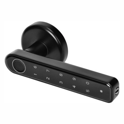 Maçaneta Inteligente C Impressão DigitalBTCódigo PIN TUYA