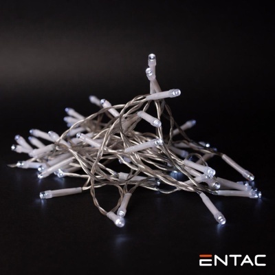 Grinalda 48 LEDs 6400K 4m IP44 ENTAC