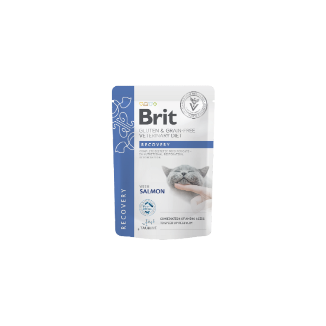 Brit Veterinary Diet Cat Recovery Gluten & Grain-Free Salmon in Gravy | Wet (Saqueta) | 12 x 85 g