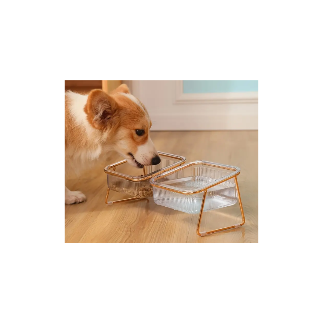 Comedouro duplo transparente