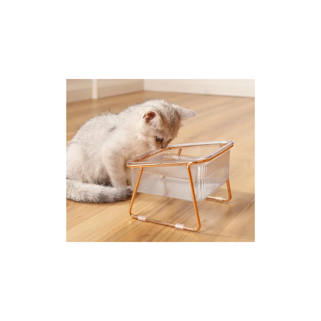 Comedouro individual transparente