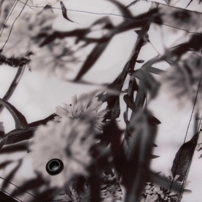 Bermuda Surf Desfoque Light/night