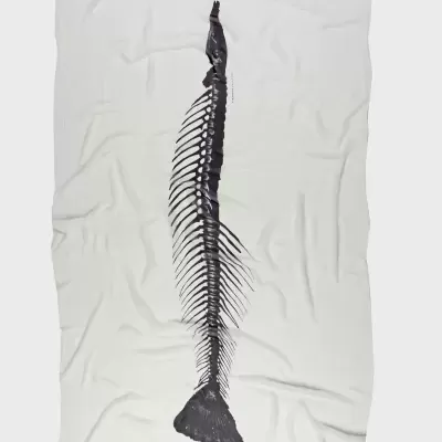 Lenço Pirarucu Spine