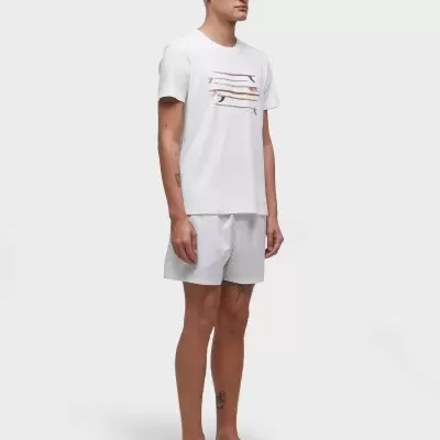 T-shirt Vintage Listrado Pranchas Osklen T-shirt Vintage Listrado Pranchas Osklen