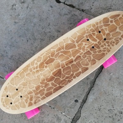 Skateboard Giraffe Patern