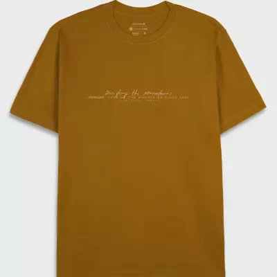 Big Shirt Signature Osklen