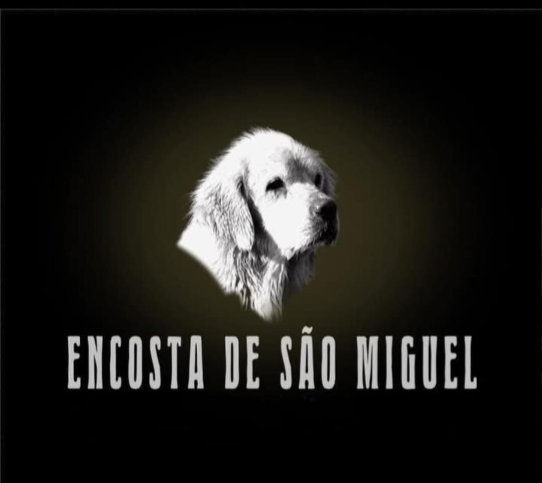 Encosta de São Miguel