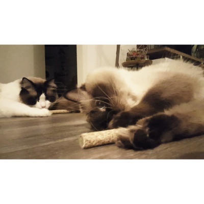 Addicted! Stick - 2 unidades