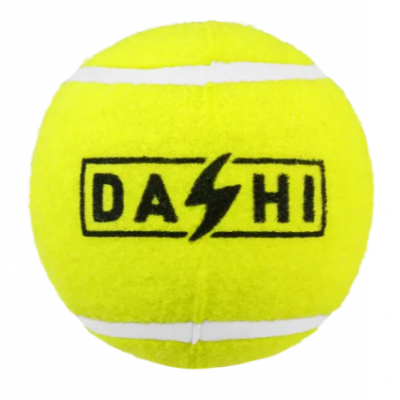 Dashi Squeaky Tennis Ball