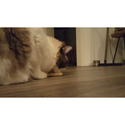 Addicted! Stick - 2 unidades