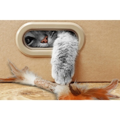 Addicted! Stick com penas