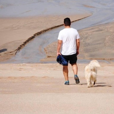 Kikie, a nossa primeira Golden