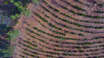Imagem aérea de baixa altitude