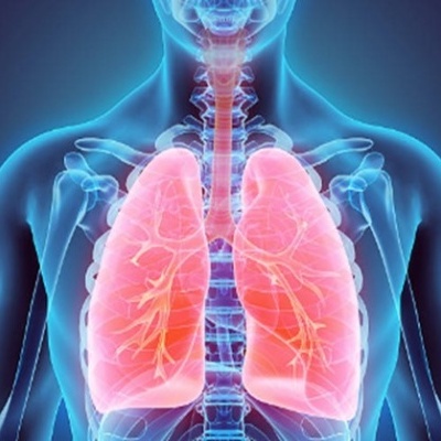 Sistema respiratório