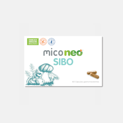 MICO NEO SIBO – 60 CÁPSULAS GASTRORESISTENTES - NUTRIDIL