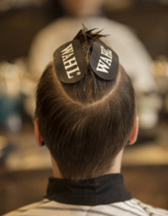 Wahl velcro de cabelo HAIR GRIP