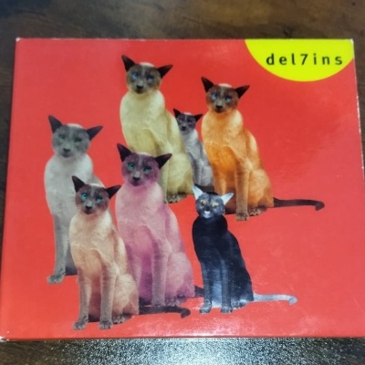 Delfins