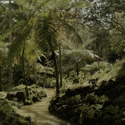 Ignae - Mind & Face Digital Detox (50 min)