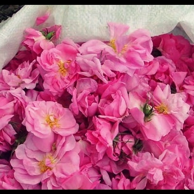 Regenerador Anti-age Rosa da Bulgária (75 min)